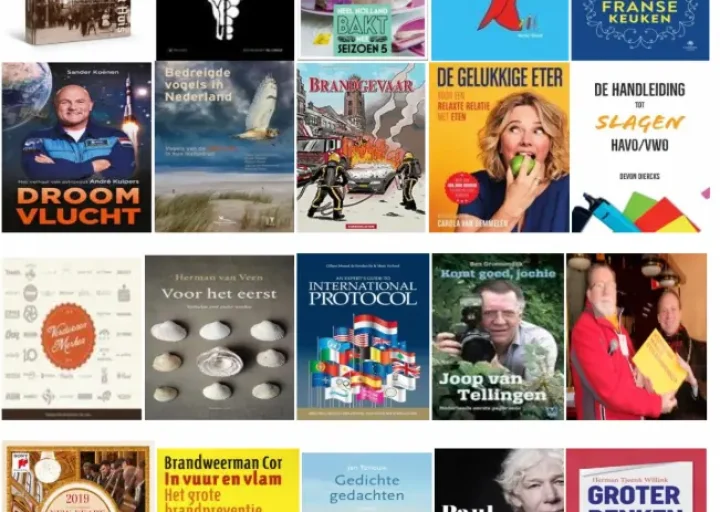 Nationale Ziekenomroep De Handleiding tot Slagen Podcast