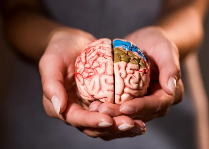 waarom-leerstijlen-niet-werken-de-handleiding