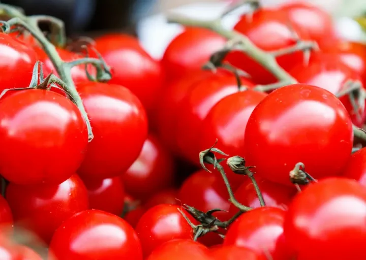 thomas-martinsen-iASD5_HpTZc-unsplash